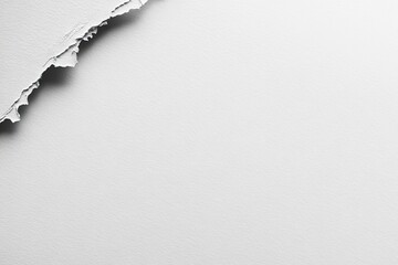 Torn paper corner close-up.  A slightly ragged corner of a sheet of white paper is torn away, revealing the textured underside of the paper.  The tear is irregular