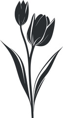 Black silhouette of two tulip flowers with leaves isolated on white background
