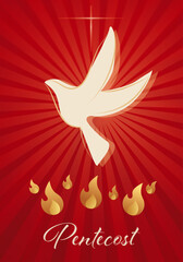 Obraz premium Pentecost dove flame Holy Spirit fire symbol Christian religion. Red background