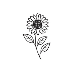 sunflower line drawing
