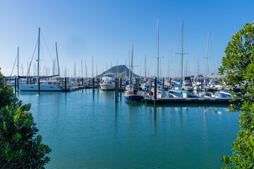 Obraz premium Tauranga Marina piers and boats with landmark Mount Maunganui in background under blue sky