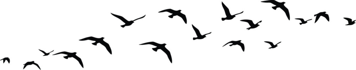 Minimalist Flying Bird Flock Silhouette
