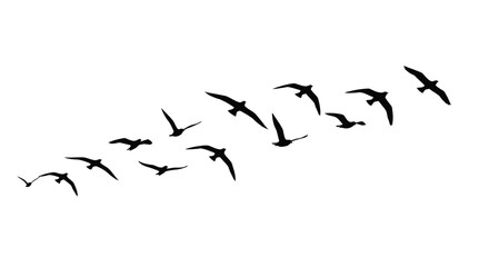 Minimalist Flying Bird Flock Silhouette