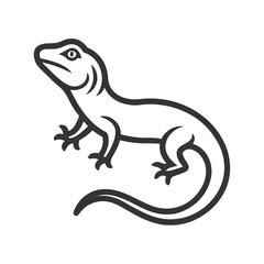 Fototapeta premium lizard on white background