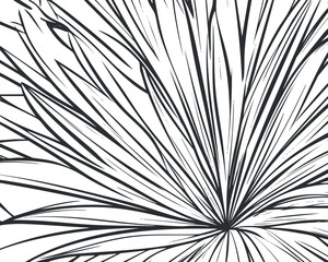 Obraz premium Abstract black and white line art showing a stylized tropical palm leaf pattern with detailed linear strokes