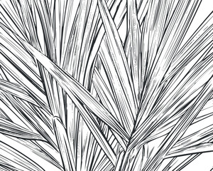 Black and white lineart illustration of tropical leaves with detailed botanical foliage pattern