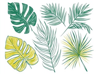 Tropical Leaf Illustrations