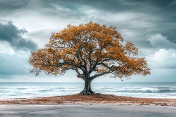 A solitary tree with golden leaves stands on a sandy beach under a dramatic sky, waves gently lapping the shore.