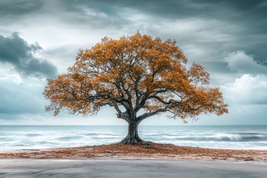 A solitary tree with golden leaves stands on a sandy beach under a dramatic sky, waves gently lapping the shore. - Powered by Adobe
