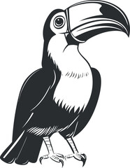 Black and white illustration of a toucan bird with a large beak, perched and looking sideways.
