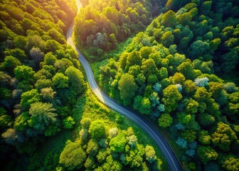 Aerial Drone Shot: Winding Road Through Lush Green Forest Canopy