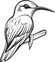 Black and white line art illustration of a kingfisher bird perched on a branch in profile