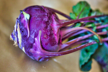 Close up view of purple turnip: food macro.