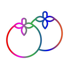 persimmon line gradient icon