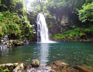 Waterfall cascades into a pristine pool surrounded by lush green vegetation