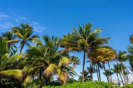 La Ventana al Mar park in Condado San Juan Puerto Rico