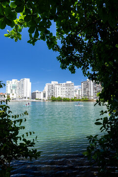 Paddle boarders in the Condado Lagoon in San Juan Puerto Rico 