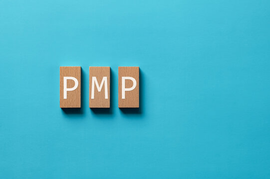 There is wood block with the word PMP. It is an abbreviation for Project Management Professional as eye-catching image.