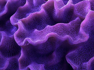 Purple Textured Undulating Surface