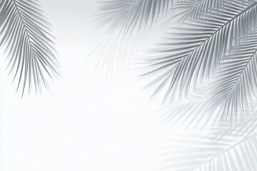 Obraz premium Monochrome palm fronds