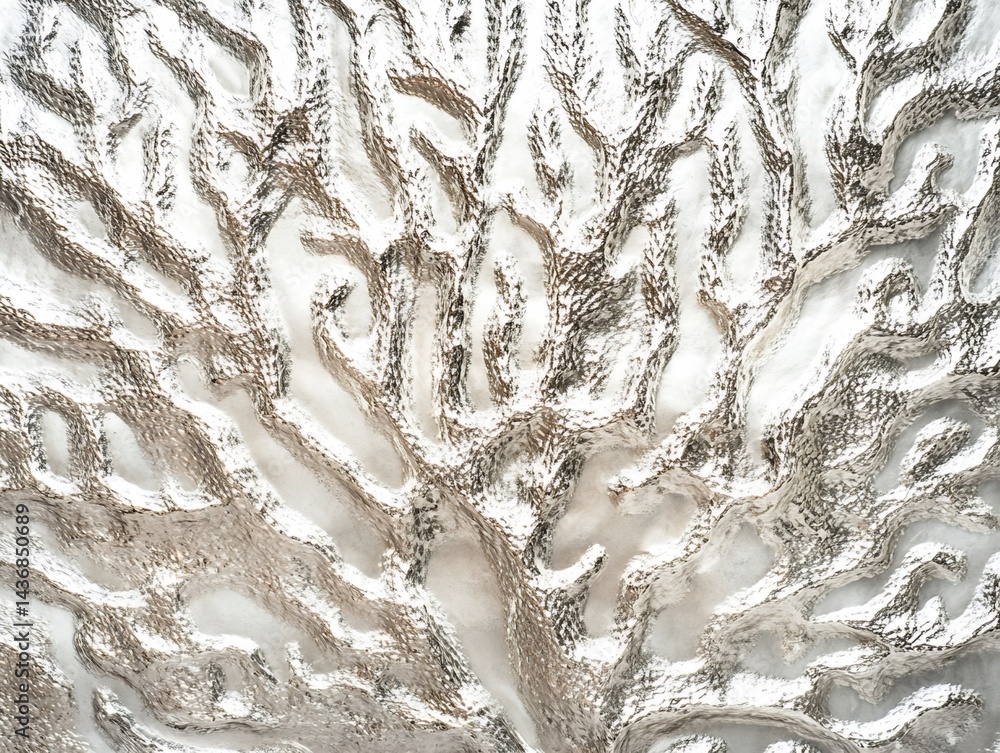 Poster silver-toned object with branching, three-dimensional texture