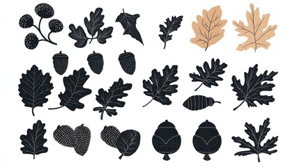 Fototapeta premium Autumn leaves and acorns set in dark and light colors on a white background