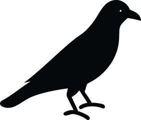 Crow Silhouette Illustration