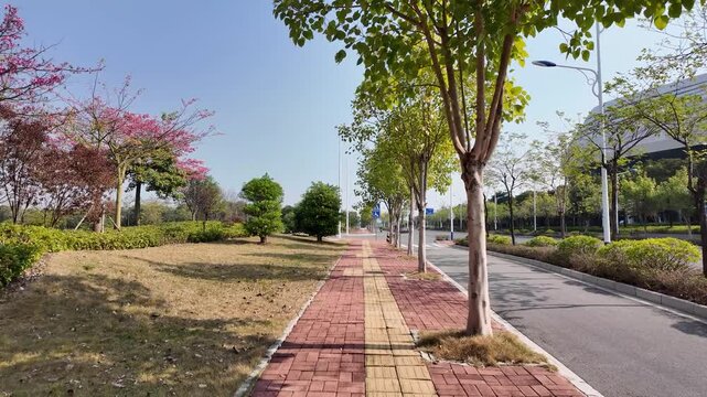A well-maintained paved pedestrian sidewalk with tactile paving parallel to an asphalt urban road. The footpath is lined with trees providing shade and a landscaped nature strip. Liuzhou, China