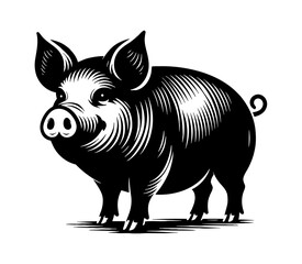 Fototapeta premium Isolated Black and White Illustration of a Pig Standing in a Simple Design