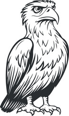 Black and white line art illustration of a fierce eagle standing with sharp eyes and detailed feathers