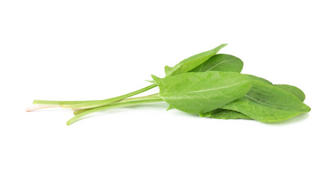 Fresh green sorrel leaves isolated on white