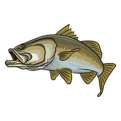 barramundi fishing illustration logo vector image t shirt