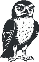 Fototapeta premium Black and white vector illustration of a fierce falcon bird with sharp beak and claws