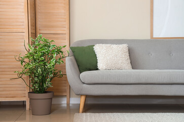 Interior of light living room with grey sofa, plant and folding screen
