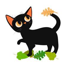 black cat and tree leaves without background