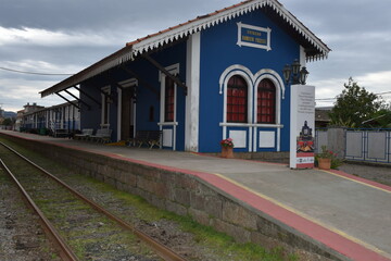 tubarao
