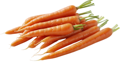 Fresh baby carrots isolated on a transparent background,vegetable, carrot, vitamin, nourishment, vegetarian, isolated, healthy, leaf, orange, diet, food, fresh, garden, 5