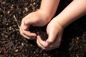 Kid holding soil. Child planting. Small hands with ground. Black soil in kids hands. Farm life for children. Earth in tiny hands. Kid holding soil. Childs hands in earth. Kid grasping rich soil.
