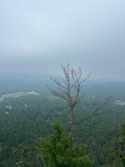 View from Cathedral Ledge Lookout with Misty Horizons and Dense Forest Below