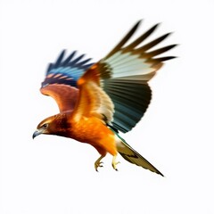 Obraz premium A dynamic, in-motion flying buzzard isolated on a transparent PNG background, with blurred lines and action poses, exhibiting a warm terracotta and cool teal color contrast.