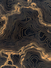 Abstract Topographic Map Texture Golden Lines on Black Background