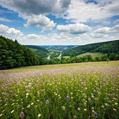 Fototapeta premium Wild Eifel Nature Park (Belgian Side), Germany/Belgium