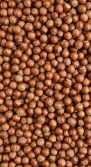 Hazelnut Harvest AI Generated