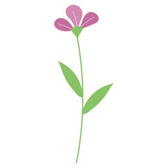 Flower Illustration