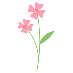 Flower Illustration