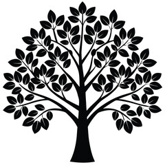 Obraz premium Eucalyptus trees icon set on white background