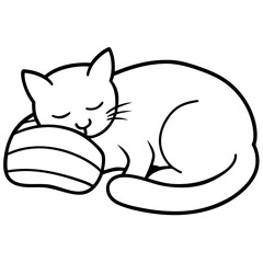 cat on a pillow
