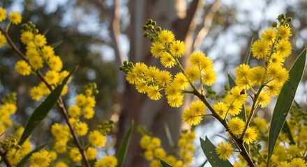 Golden Hour Bloom AI Generated