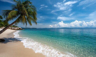 Tropical beach scene with palm tree, clear turquoise water, and white sand. Sunny day with fluffy clouds. Perfect for vacation, travel brochures, or relaxing backgrounds