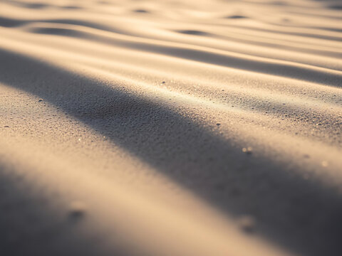 Washed Sand Lines